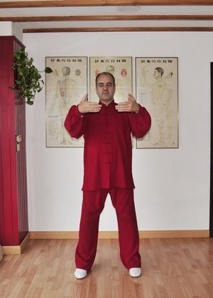 Poste Daoyin Wuji Daoyin Wuji poste básico "Sostener la Esfera" a la altura de Tiantu.