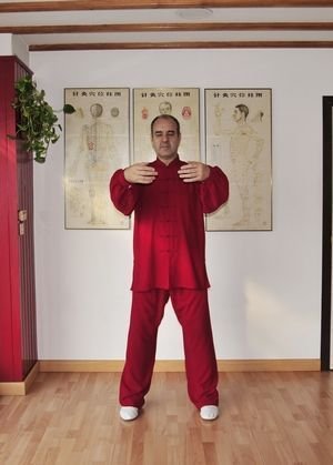 Daoyin Wuji poste básico "Sostener la Esfera" delante de Tiantu. Daoyin Wuji poste básico "Sostener la Esfera" delante de Tiantu.