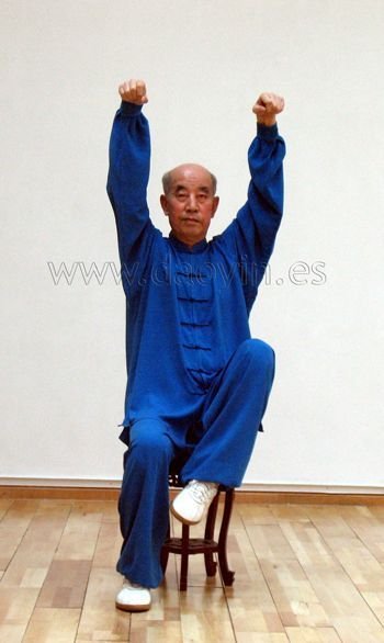 Daoyin Shi Er Fa sentado del profesor Zhang Guangde