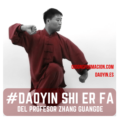 Daoyin Shi Er Fa