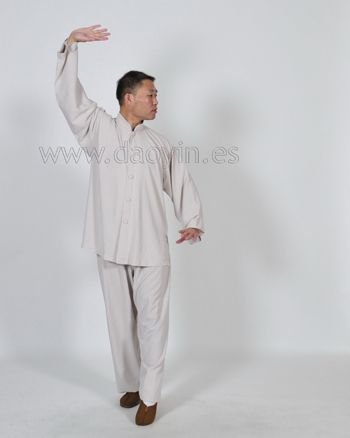 Daoyin Shi Er Fa profesor Zhang Jian