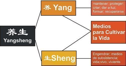 yangsheng Yang Sheng