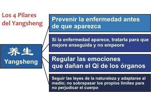 yangsheng 4 pilares yang sheng