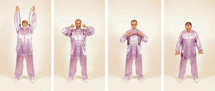 Wu Qin Xi Wuqinxi El Tigre Estira las Garras (Descenso).