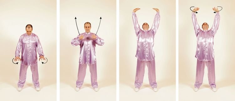 Wu Qin Xi Wuqinxi el Juego del Tigre Estirando las Garras (Elevación).