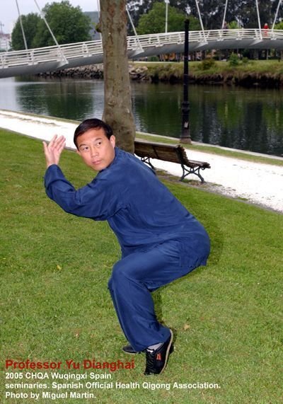 Wu Qin Xi Yu Dinghai El profesor Yu Dinghai practicando Wuqinxi en Pontevedra.