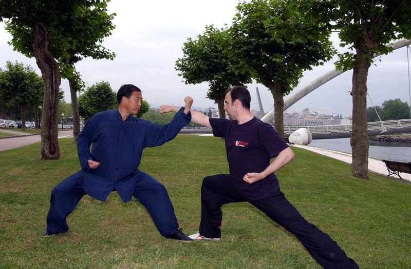 wu qinxi wu qin xi qigong