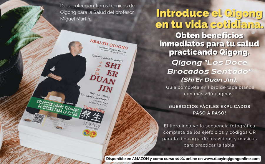 Shi Er Duan Jin en silla