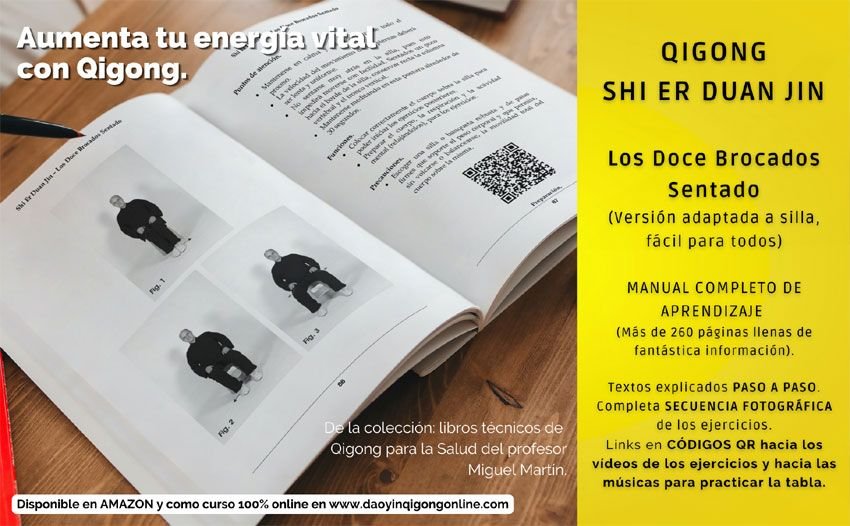 Shi Er Duan Jin en silla