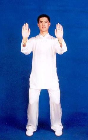 Sonido del Pulmón SI Sonido del Pulmón SI