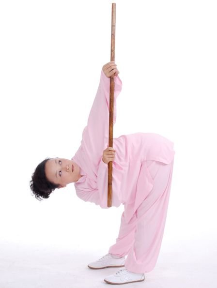 Taiji Yangsheng Zhang Taiji Yangsheng Zhang