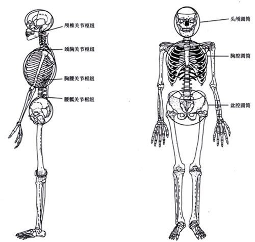 taiji yangsheng zhang taiji yangsheng zhang