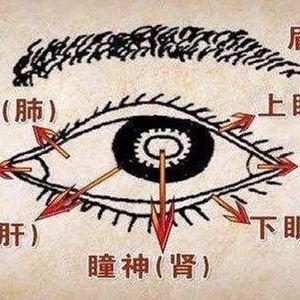 Qigong Ming Mu Gong - Ojos Brillantes.