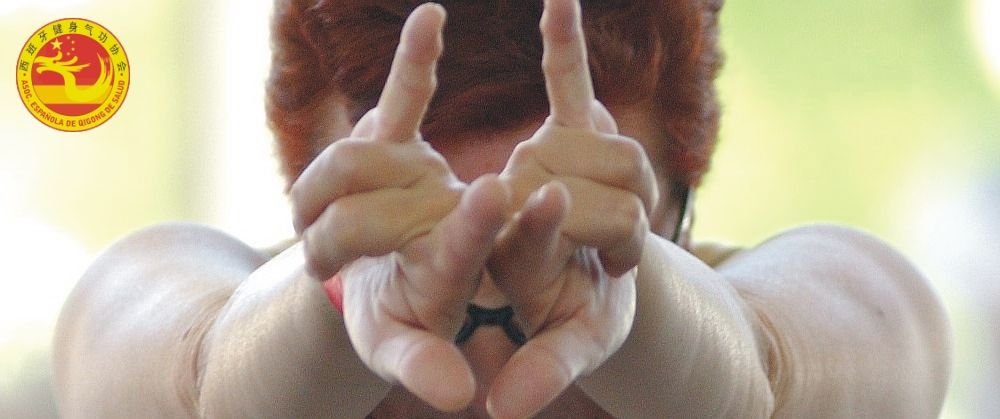 qigong combinado