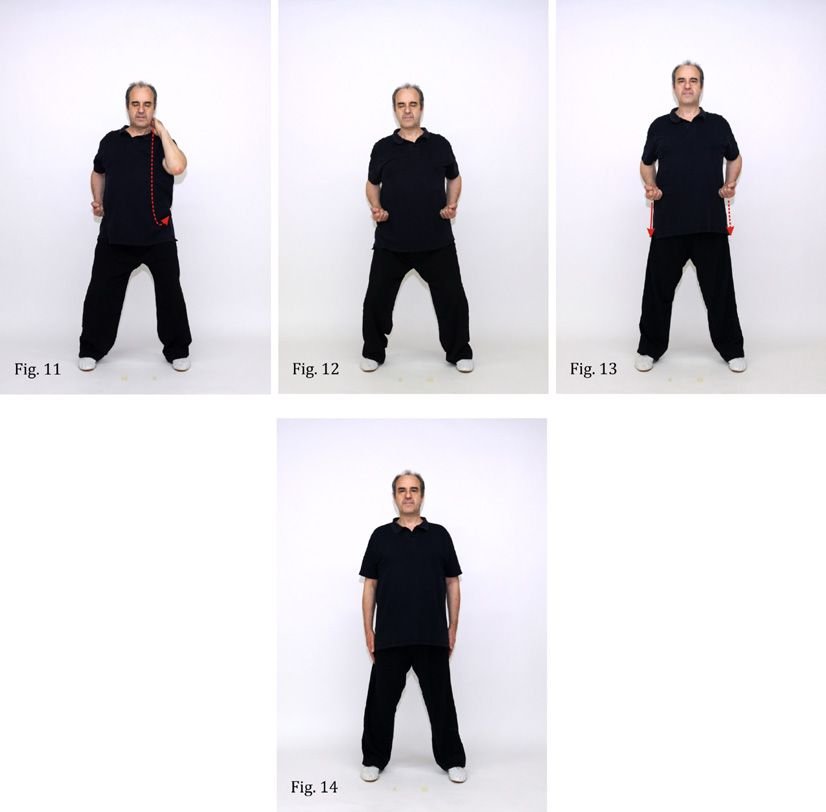 qigong para sedentarismo Sedentarismo 11 a 14