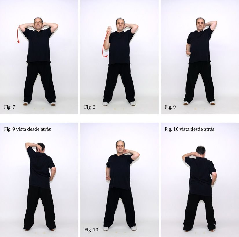 qigong para sedentarismo Sedentarismo 7 a 10