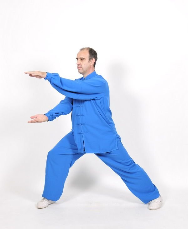 Veinte ejercicios de Wushu de Wang Ziping Veinte ejercicios de Wushu de Wang Ziping