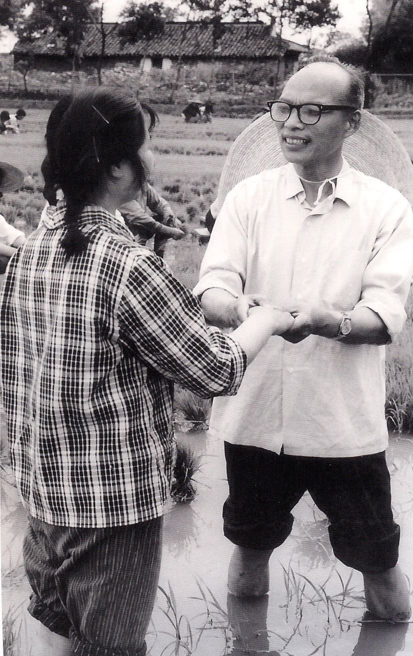 Lian Gong Shi Ba Fa lian gong historia