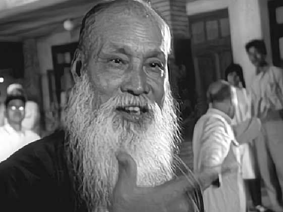 Wang Ziping Master Wang Ziping