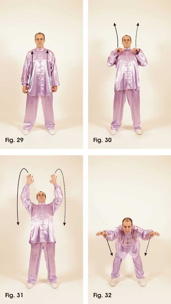 Juego del tigre aprender wu qin xi