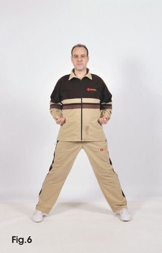 xu ji yi qigong