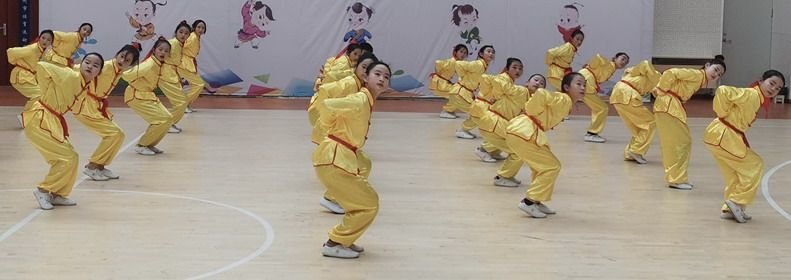 sedentarismo en niños y adolescentes y qigong Qigong Wu Qin Xi niños y adolescentes