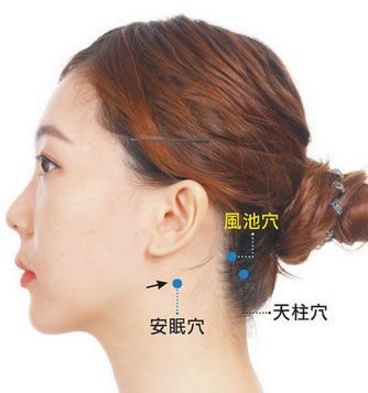 an mian xue insomnio